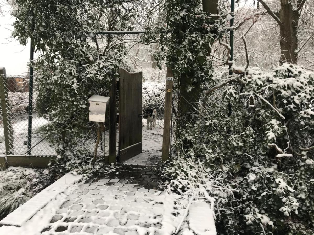 De Swaenhoeve Zoersel Dış mekan fotoğraf