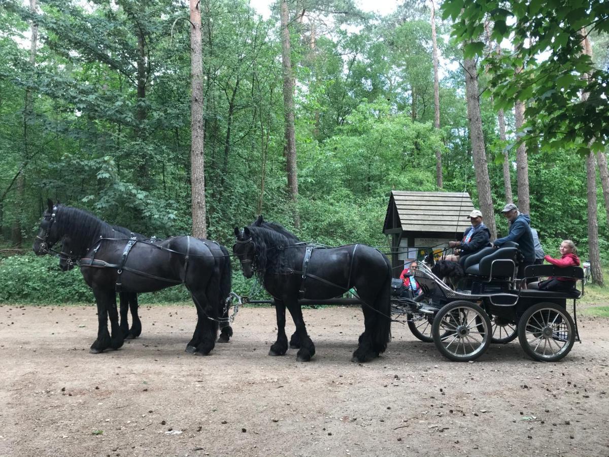 De Swaenhoeve Zoersel Dış mekan fotoğraf