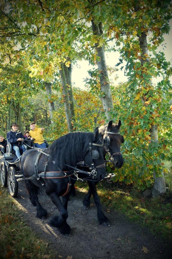 De Swaenhoeve Zoersel Dış mekan fotoğraf