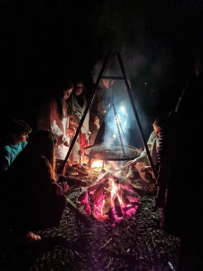 De Swaenhoeve Zoersel Dış mekan fotoğraf