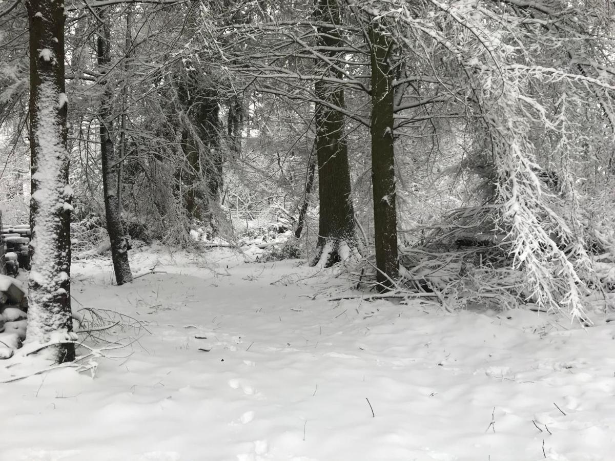 De Swaenhoeve Zoersel Dış mekan fotoğraf